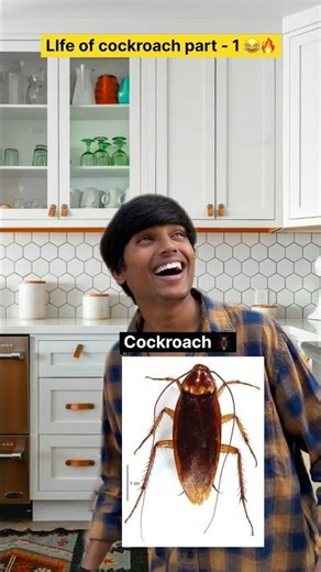 Life of cockroach 🪳 part - 1 😂🔥 | Indian family | #short #relatable #indian #cockroach #life