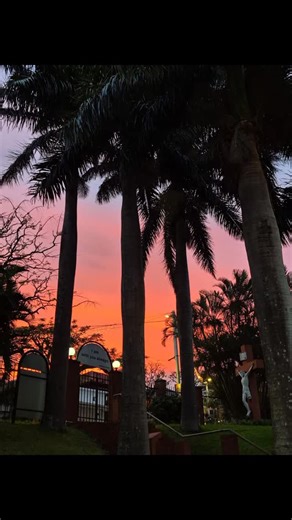 On this last day of the year, we pause with grateful hearts to reflect on the journey we have shared—the blessings received, the challenges faced, and the grace that has carried us through. As we stand on the threshold of a new year, we entrust all that lies ahead to God, confident that His love will guide our steps and renew our hope. Loving God, we thank You for the gift of this past year and for Your faithful presence in every moment. As we look to the year ahead, fill us with trust, courage,