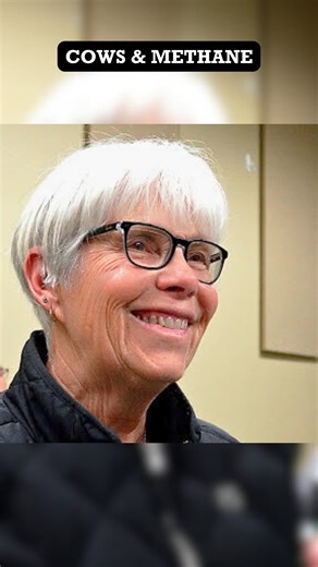 Does adaptive multi-paddock (AMP) grazing cure cow burps? No - all cows emit carbon and methane. The difference between regenerative agriculture and industrial agriculture is nature's ability to offset those emissions within a healthy, biodiverse system. Cows emit methane, and the pastures emit nitrous oxide - they are both strong greenhouse gases that warm the planet. With AMP grazing, the pastures produce 2, 3 and even 4 times as much forage as their conventional neighbor - and all that forage