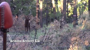 Hunting with HECS "Hecs Hunters Getting Closer" is streaming live tonight at 8:30pm EST! Watch the HECS advantage as they feature actual Hecs customers using their Hecs suits in real world situations! USE PROMO CODE "HUNT" & SAVE $30 On Your Entire Order at www.hecsllc.com | Huntchannel.tv