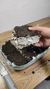 763K views · 15K reactions | Budget Dessert Idea: Oreo Ice Cream Sandwich | Pinoy Budget Recipes | Facebook