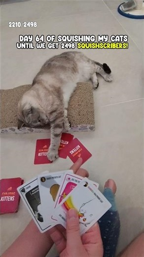 cat beats me in card game 🥶 on day 64 #shorts #cutecat