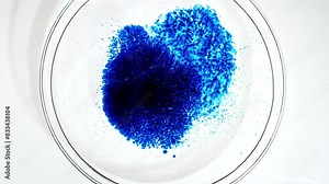 Petri Dishes with Various Bacteria, Tissue and Blood Samples. Virus Testing Samples of Bacteria in Cells at Medical Lab Facility. Concept of Pharmaceutical Research for Antibiotics, Curing Disease.4k Stock Video