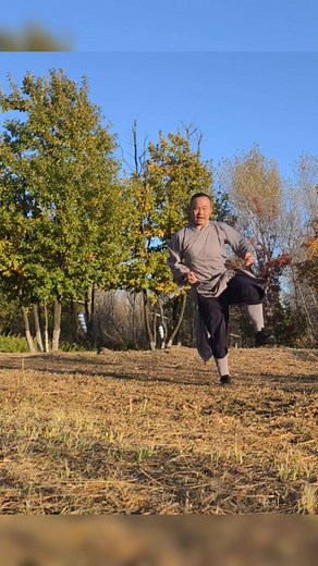 The key to generating power in Shaolin Kung Fu is through the opening and closing of the hips, the extension and expansion of the spine segment by segment, the support of the legs, the opening and closing of the shoulders and spine, the release of power through the arms, and the flicking of the fingers. To achieve this, one must first relax and secondly stretch the tendons and bones. Both relaxation and stretching are for opening up the energy pathways.🙏 #shaolin #shaolinkungfu #shaolinquan #sh