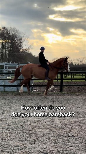 Experience Riding Bareback with Bruno