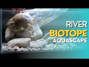 Biotope Aquarium Setup | River Aquascape