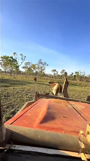 Extremely Dangerous and Skilled Work