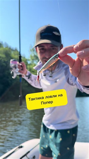Ловля окуня на поппер #рыбалка #спиннинг #cadence