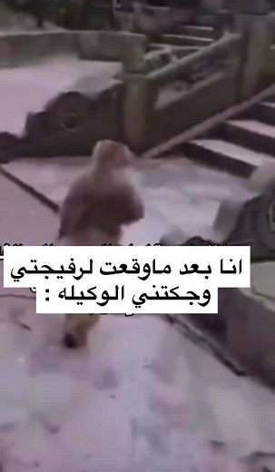 فيديوهات أنشأها Two teachers (@twoteachers96) باستخدام الصوت الأصلي - Two teachers