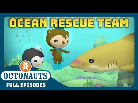 ‪@Octonauts‬ - 🐻‍❄️😼🐧 Animal Ocean Rescue Team! 🛟 | 3 Hours+ Full Episodes Marathon