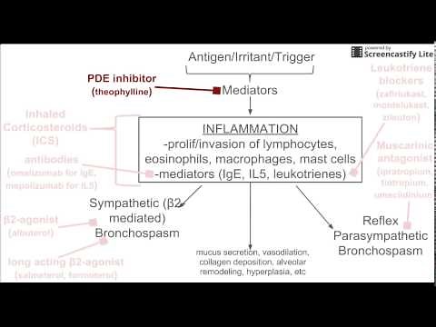 Drugs for Asthma Treatment