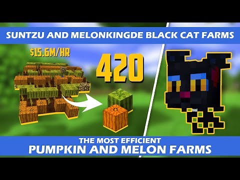 SunTzu & MelonKingDe's Black Cat Melon/Pumpkin Farm | Hypixel Skyblock
