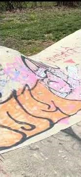 DIY Skatepark Tour in Lawrence, Kansas