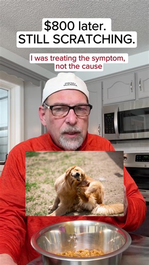 Effective Remedies for Your Itchy Dog's Skin Issues