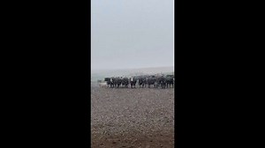 First snowfall graces a peaceful farm in Nebraska, USA