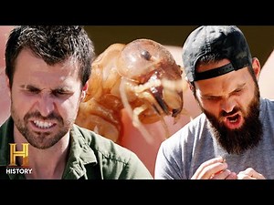 AGGRESSIVE BACKYARD BUGS BITE LIKE HELL | Kings of Pain (Season 2) | History