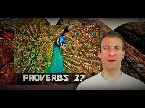 Proverbs Chapter 27 Summary and What God Wants From Us
