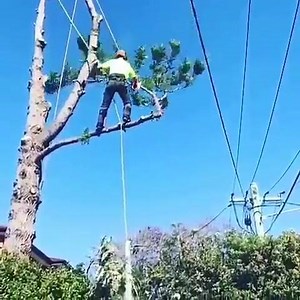 686K views · 1.5K reactions | Che classe. | Passione trattori e motoseghe | Facebook