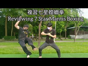 複習七星螳螂拳 Reviewing 7 Star Mantis Boxing