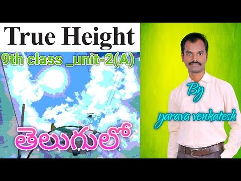 True Height - 9th class English - 2(A)
