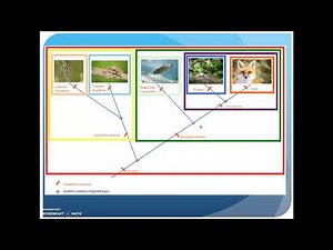 La classification scientifique du vivant.
