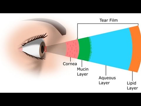 Components of Tear Film | Ophthalmology
