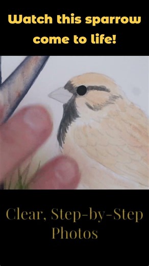 🌿 Tiny Details Bring This Sparrow to Life!