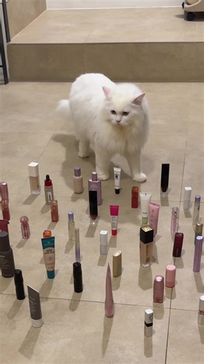 day 1 ujian kelincahan dan problem solving moms