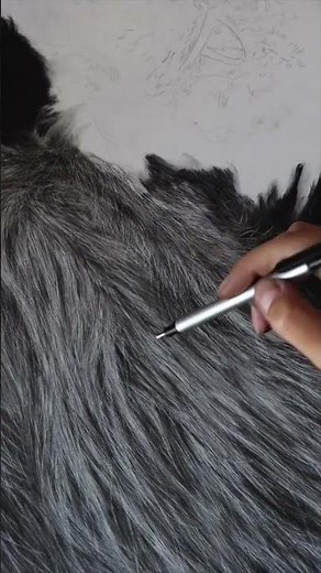 Drawing realistic fur using the indentation technique| full tutorial on my channel #realisticdrawing
