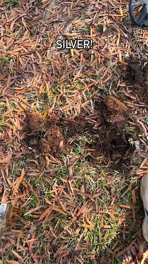 2.1K views · 71 reactions | Treasure Hunter on Reels | Facebook