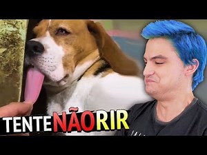 O TENTE NÃO RIR VOLTOU!!! [+10]