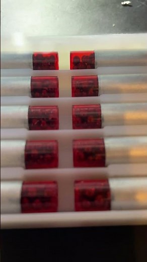 How do snakes breathe?