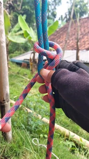 The connection is strong and easy to remove again #knot #knottrick #rope #easykhnots #tutorial