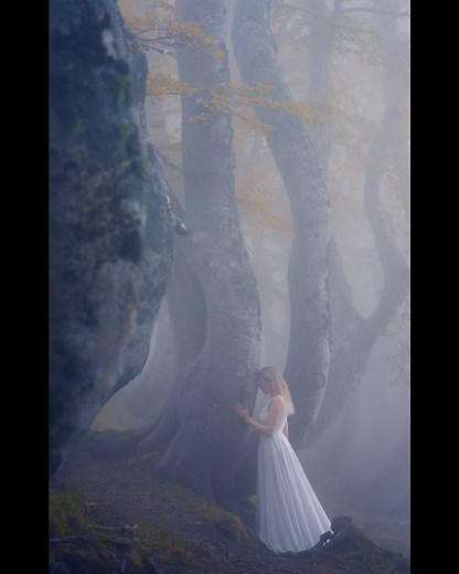 Anna Isabella Photography on Reels