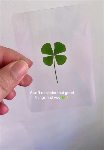 The Magic of a Real Four-Leaf Clover