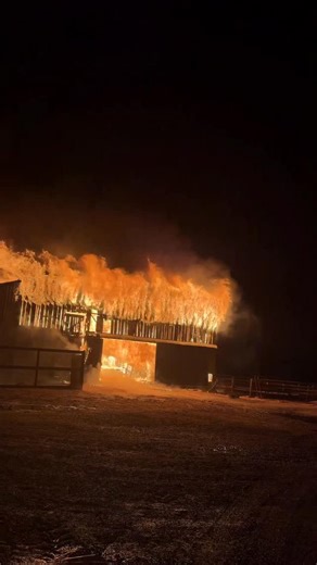 early this morning, our barn caught fire and burned to the ground. we lost a calf. my family and I are safe and unharmed, but we are devastated. I will share more eventually but for right now, my focus is on the safety and wellbeing of our animals and on trying to figure out how we can move forward from this enormous loss. | Laurel Ysebaert