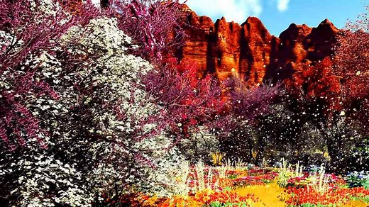 Prepare Your Garden for Fall: 7 Key Tips for a Successful Autumn Harvest