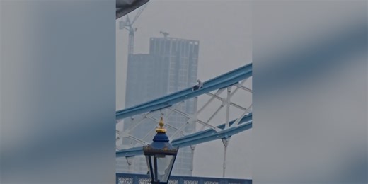 Tower Bridge shut down after man climbs onto railings as emergency services scramble to the scene