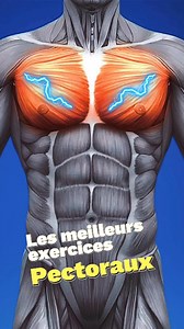 5.6K views |  Top exercices pectoraux pour une séance complète !  Renforce et sculpte ta poitrine avec cette routine ciblée, adaptée à tous les niveaux. Let's go pour des pectoraux en béton ! ️‍♂️#Pectoraux #Musculation #Fitness #pecworkout #chestworkout#chestday | Body Evolution | Facebook