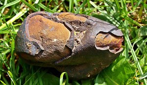 Comment savoir si la pierre que avez trouvée est une météorite ? Voici comment différencier les vraies météorites des fausses