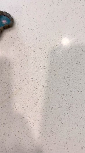 Feeding My Snails: A Terrarium Adventure