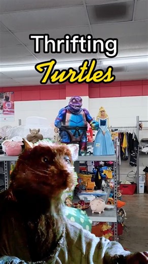 79K views · 421 reactions | My favorite ninja turtle thrift store find 亮  #ebayreseller #fliplife #thriftingtreasure #thriftstore #thriftfinds #thrifthaul #thriftstorefinds #thriftflip #thriftingtips #resellercommunity #thriftips #thrifting #thriftstores | Thrifting Treasure | Facebook