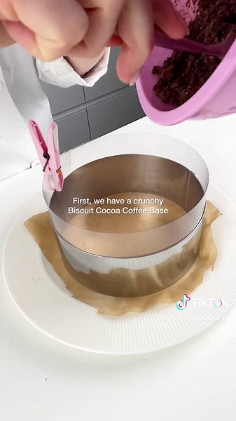 Unique Opera Entremet Cake Recipe Unveiled