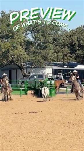 Are you ready for it... | Chute Help