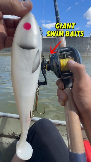 Fishing with giant swim baits for river monsters #fishing #muskyfishing #giantswimbait #garfishing #bigfish #fishingfun #fishing🎣 | Outdoor Joe