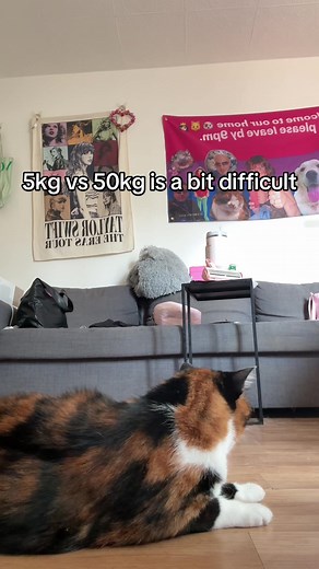 Understanding the Difference: 5kg vs 50kg Weight