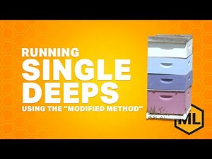 Running Single Deeps to Increase Honey Production