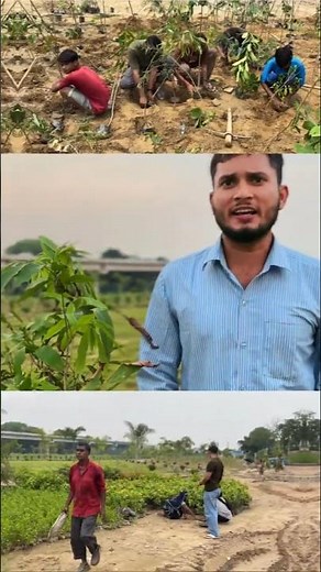 🚨🌧️ STOP SCROLLING! Help Us Plant 100,000 Trees This Monsoon! #shorts #viral #nature #ytshorts