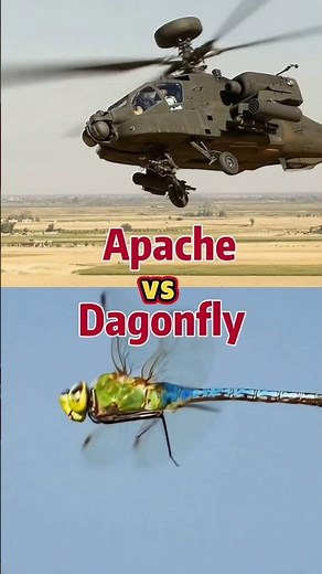 Bio-Inspired Flight: Apache Helicopter vs Dragonfly #helicopter #apache #dagon #fly #biomimicry