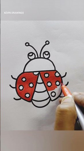 how to draw a beetle | beetle drawing easy | colour drawing | #drawing #painting #shorts #art
